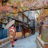 Kyoto Ultimate Grand Discovery