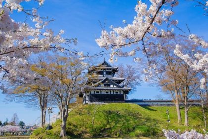 Niigata Shore Excursions