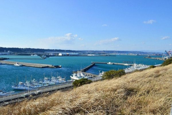 Omaezaki Shore Excursions