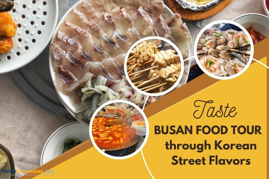 Taste Busan Food Tour Highlights through Korean Street Flavors