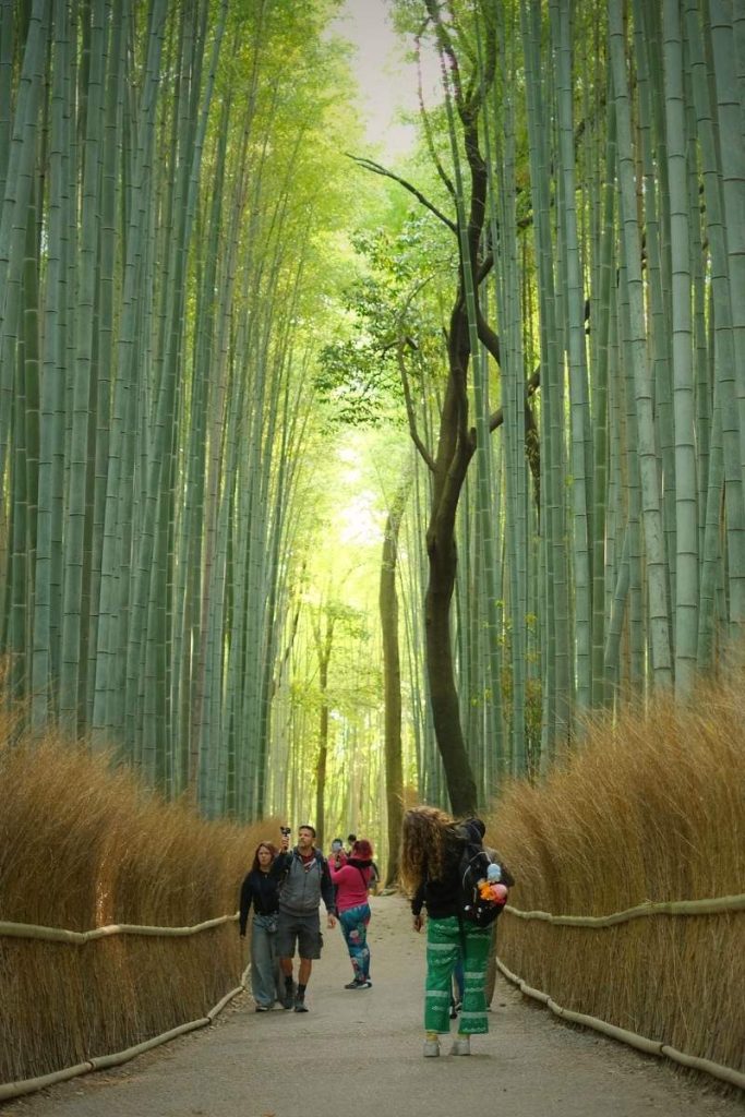 Shore Excursions Asia