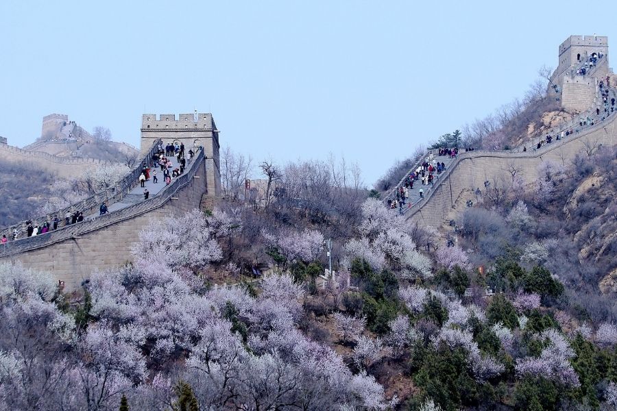 The Great Wall of China in Spring