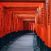 Arashiyama & Fushimi Inari Taisha Tour