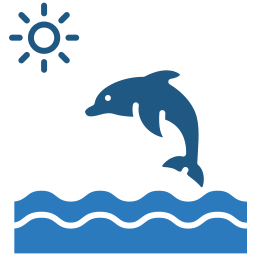 Dolphin watching -Khasab shore excursions