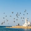 Jeddah Coastal Highlights and Floating Mosque Tour