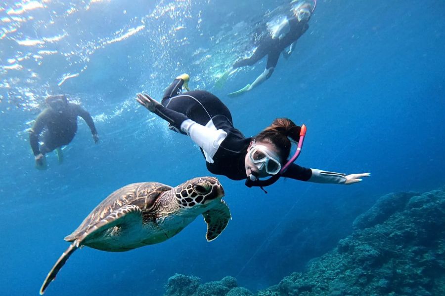 Jeddah Red Sea Snorkeling & Boat Adventure Jeddah Red Sea Snorkeling & Boat Adventure