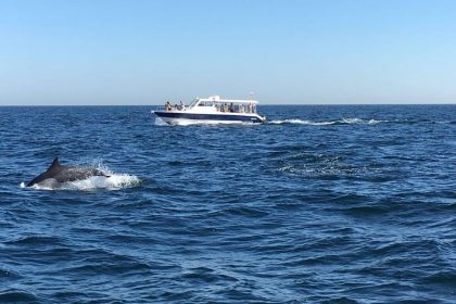 Motorboat in Gulf of Oman -Muscat tours