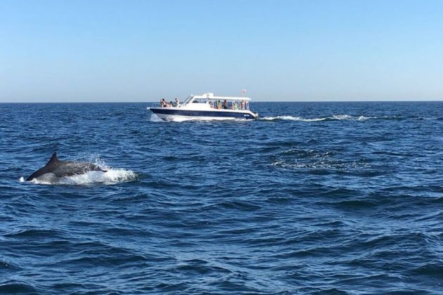 Motorboat in Gulf of Oman -Muscat tours