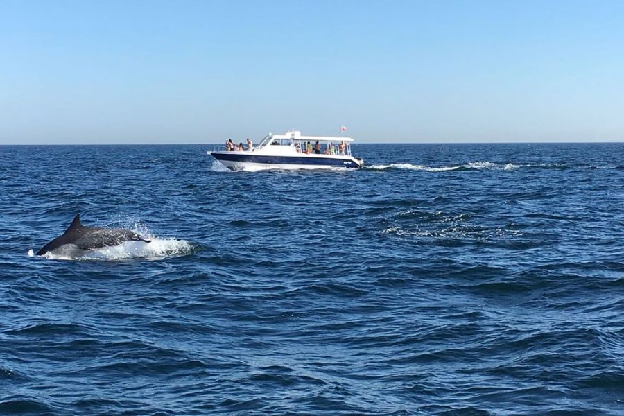Motorboat in Gulf of Oman -Muscat tours Motorboat in Gulf of Oman -Muscat tours