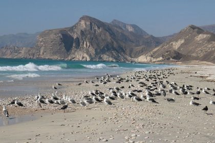 Mughsail Beach- Salalah shore excursions