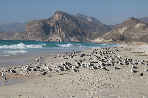 Mughsail Beach- Salalah shore excursions