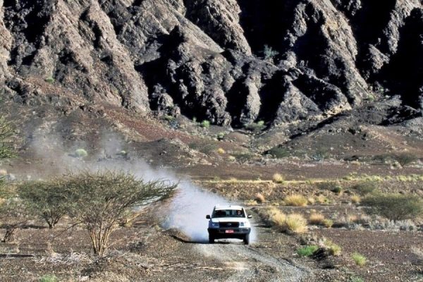 Safari to Jebel Harim