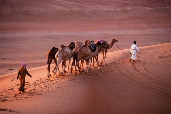 Salalah Desert & Coastal Discovery