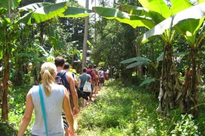 Spice Plantation- Goa shore excursions