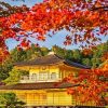 Timeless Kyoto Temples and Traditions