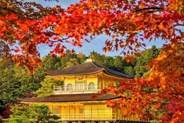 Timeless Kyoto Temples and Traditions
