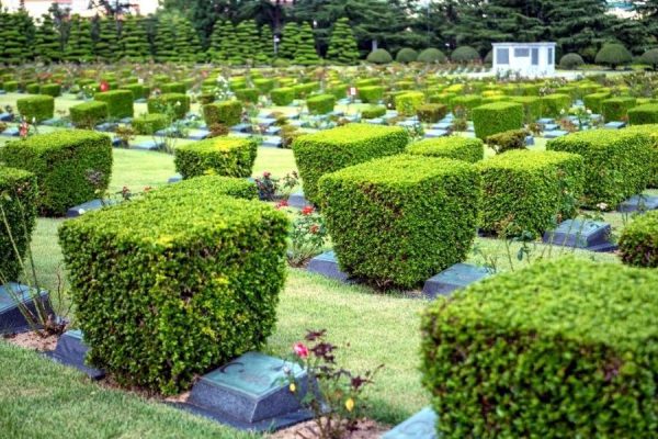 United Nations Memorial Cemetery