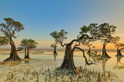 Walakiri Beach - Sumba shore excursions