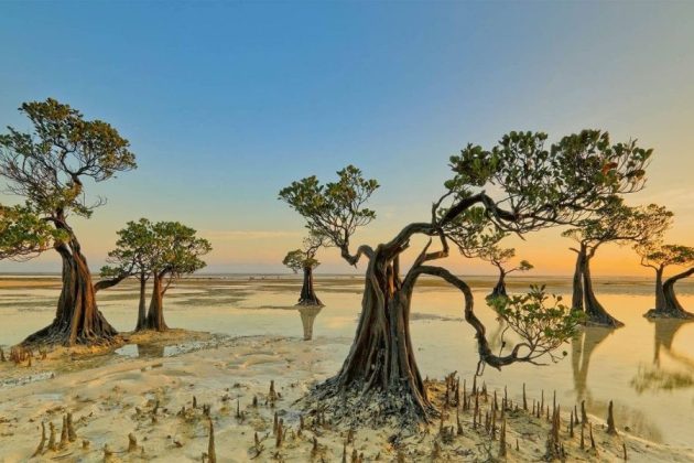 Walakiri Beach - Sumba shore excursions