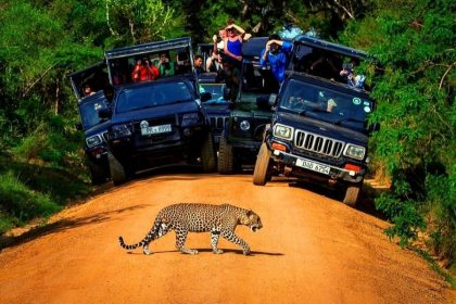 Yala National Park - famous wildlife reserve