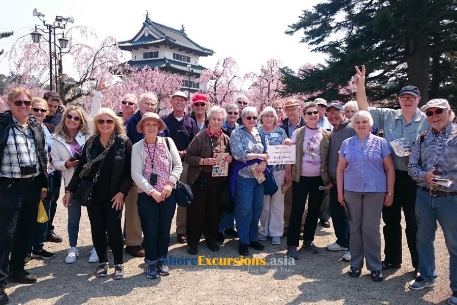 Aomori tours from cruise port to enjoy cherry blossom