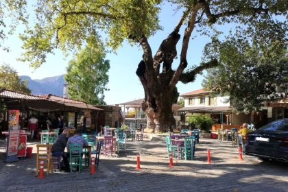 Bayir Village - Panoramic Marmaris Shore Excursions