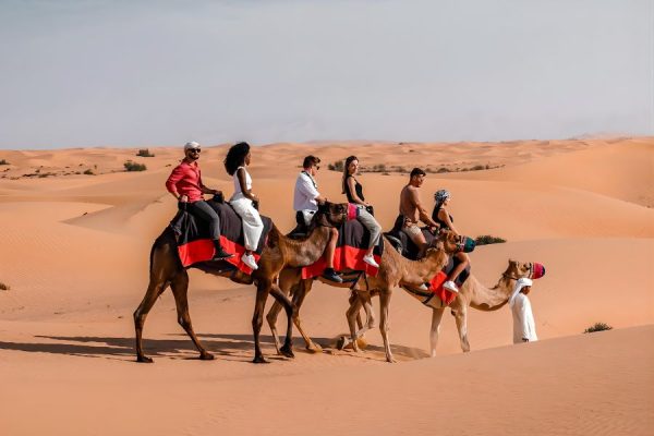 Camel Ride Experience in Dubai