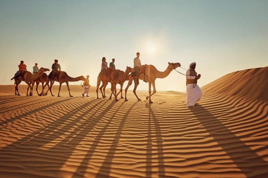 Camel Ride Experience on Ras Al Khaimah shore tours