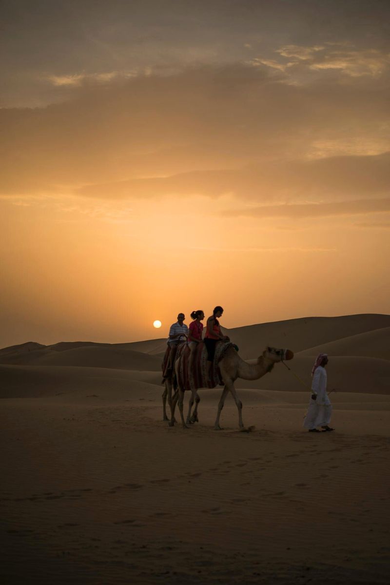 Camel ride in Dubai desert - UAE shore excursions