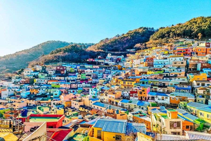 Diamond Princess shore excursions in Busan, Korea