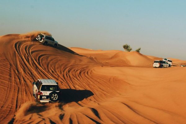 Dubai Desert Dune Drive Safari