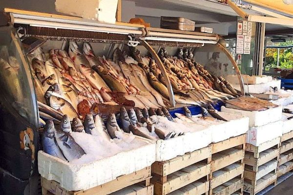 Guzelbahce Fish Market-Izmir tours