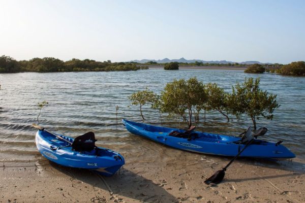 Kayaking in the Mangroves in Sir Bani Yas Island