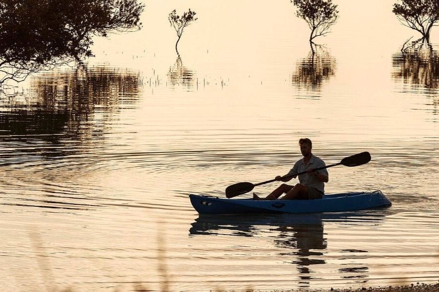 Mangrove kayaking Sir Bani Yas Island shore excursions