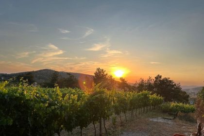 Mor Salkim Boutique Winery Guide Tour