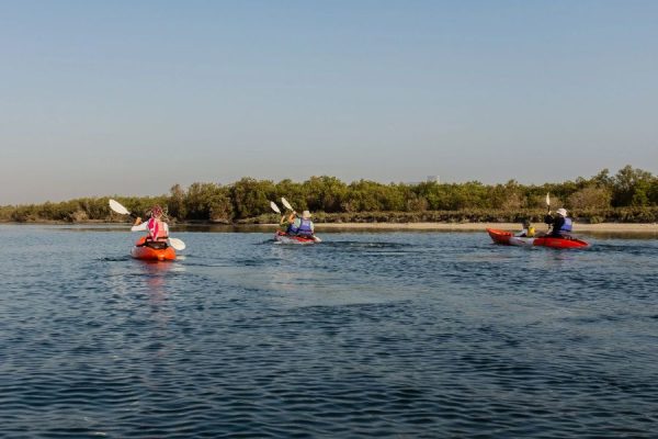 Sir Bani Yas Island Double Kayak Experience