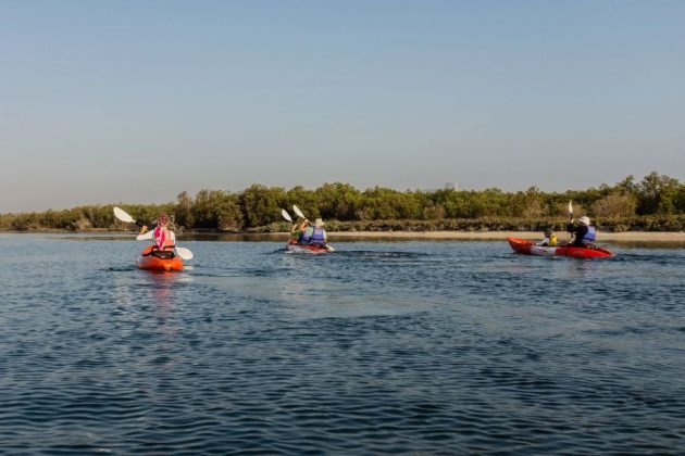 Sir Bani Yas Island Double Kayak Experience