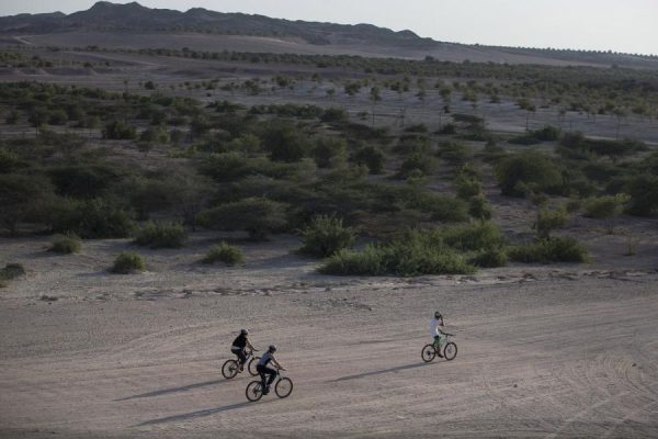 Sir Bani Yas Island Shore Excursions by Bike