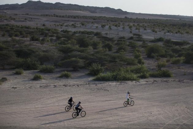 Sir Bani Yas Island Shore Excursions by Bike