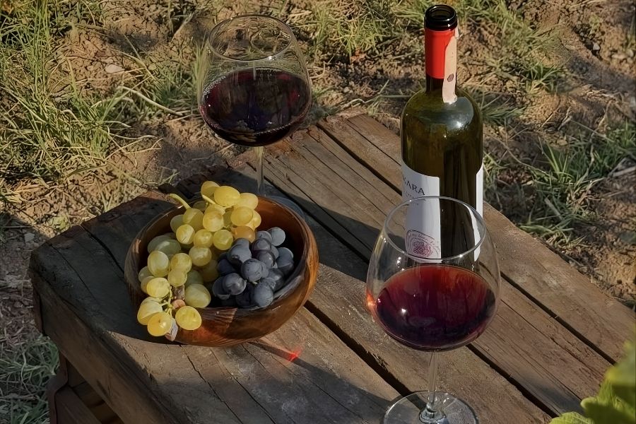 Wine Tasting Experience - Bodrum shore excursions