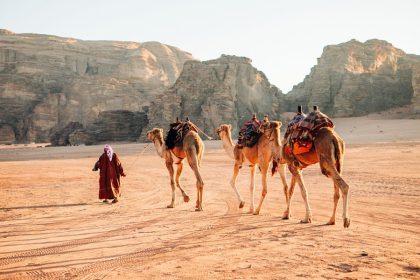 Camel caravan in Wadi Rum desert
