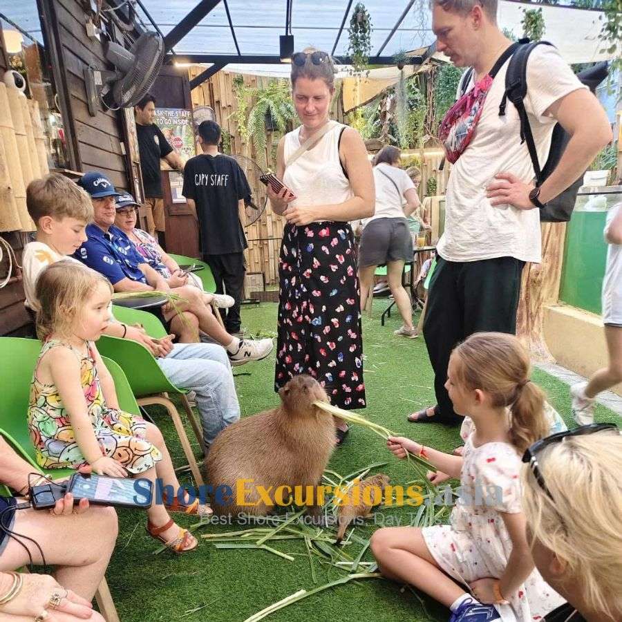 Capybara Experience in Bangkok - Shore Excursions Asia