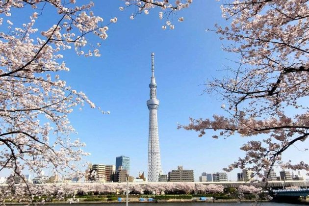 Drive Past Tokyo Skytree - Tokyo culture tour