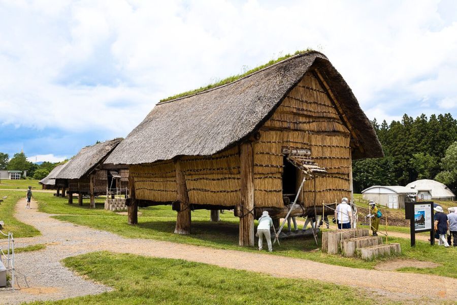 Hirosaki & Aomori Highlights Tour Hirosaki & Aomori Highlights Tour