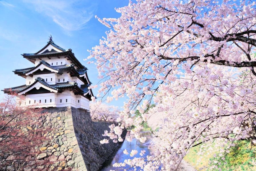 Hirosaki Castle in spring - Aomori highlights tour