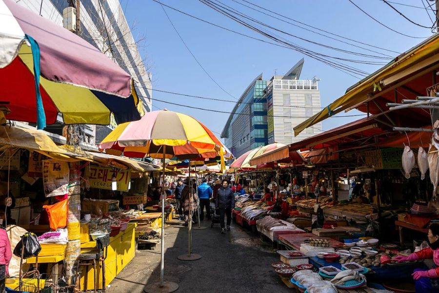 Jagalchi Fish Market Jagalchi Fish Market