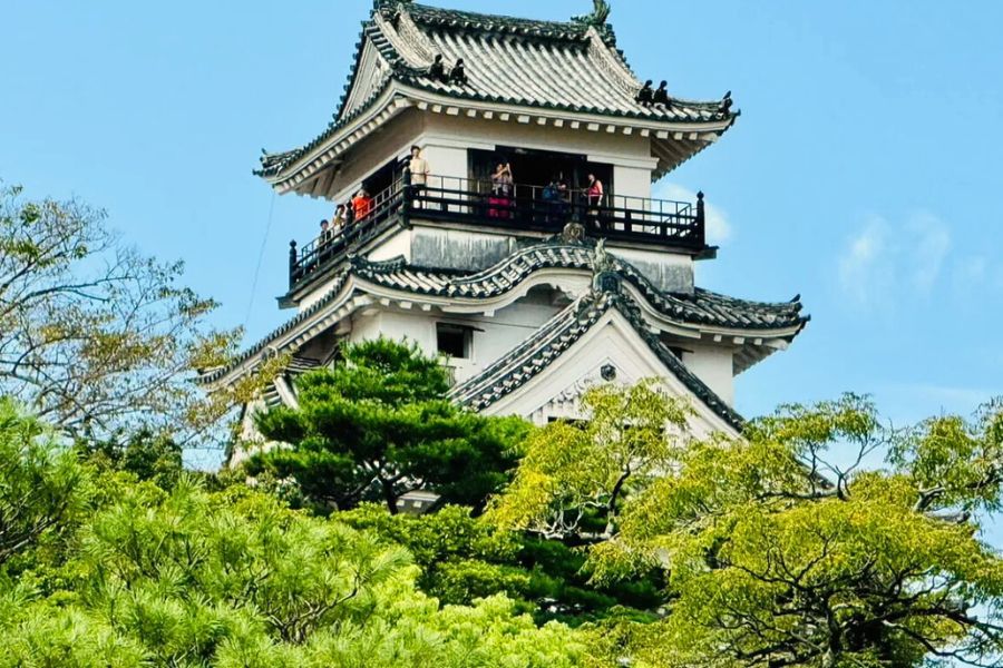 Kochi Castle view - Kochi highlights tour Kochi Castle view - Kochi highlights tour