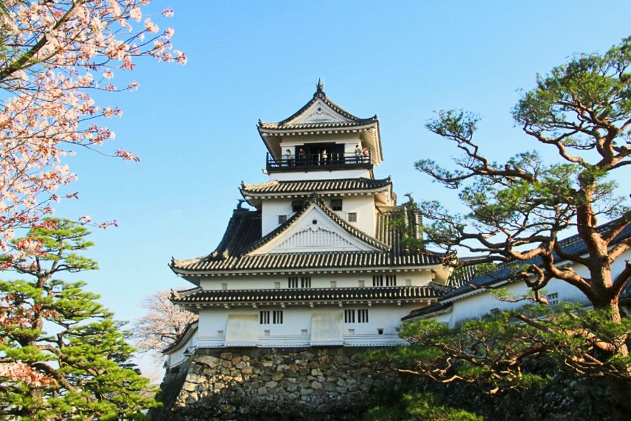 Kochi Highlights Tour Kochi Highlights Tour