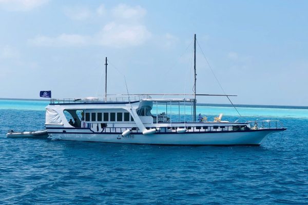 Maldives dhoni boat transfer