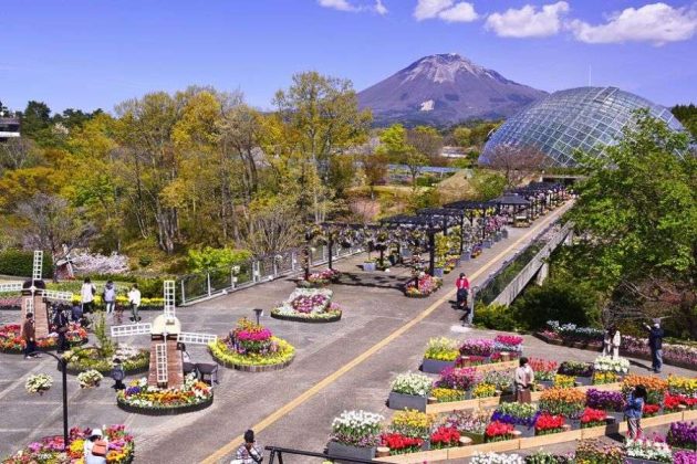 Matsue Castle & Tottori Hanakairo